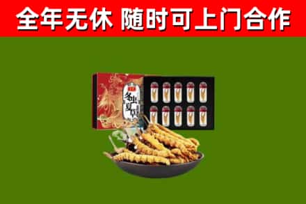 市南区回收冬虫夏草价格