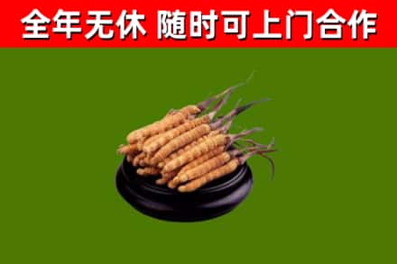 市南区烟酒回收冬虫夏草.jpg
